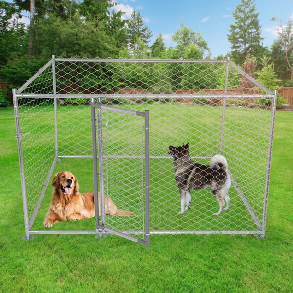 Metal dog clearance kennels and runs